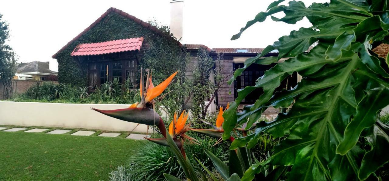Gardenview Guest House Port Elizabeth Exterior photo
